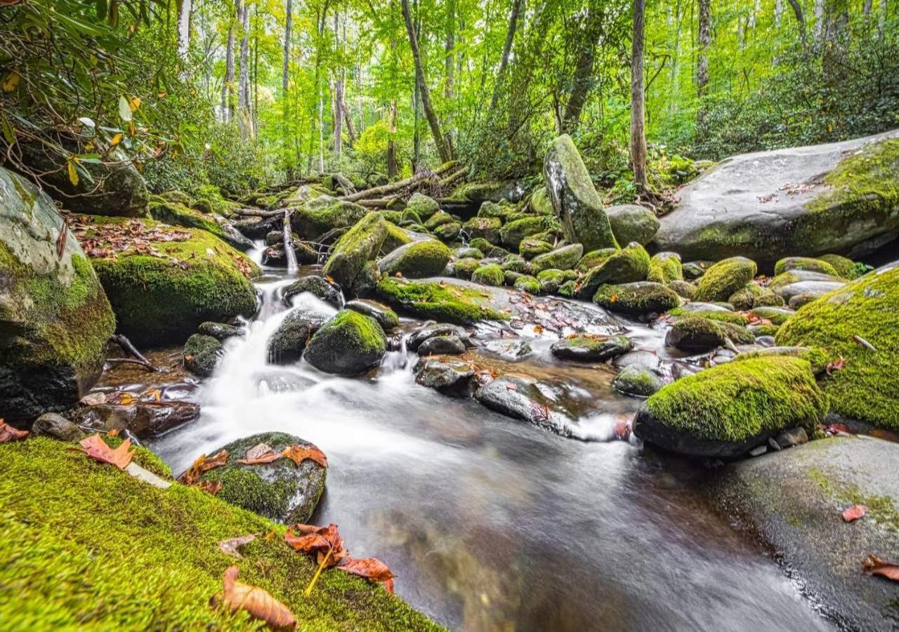 The Grand Orchard Lodge - Gatlinburg, Tn Екстер'єр фото