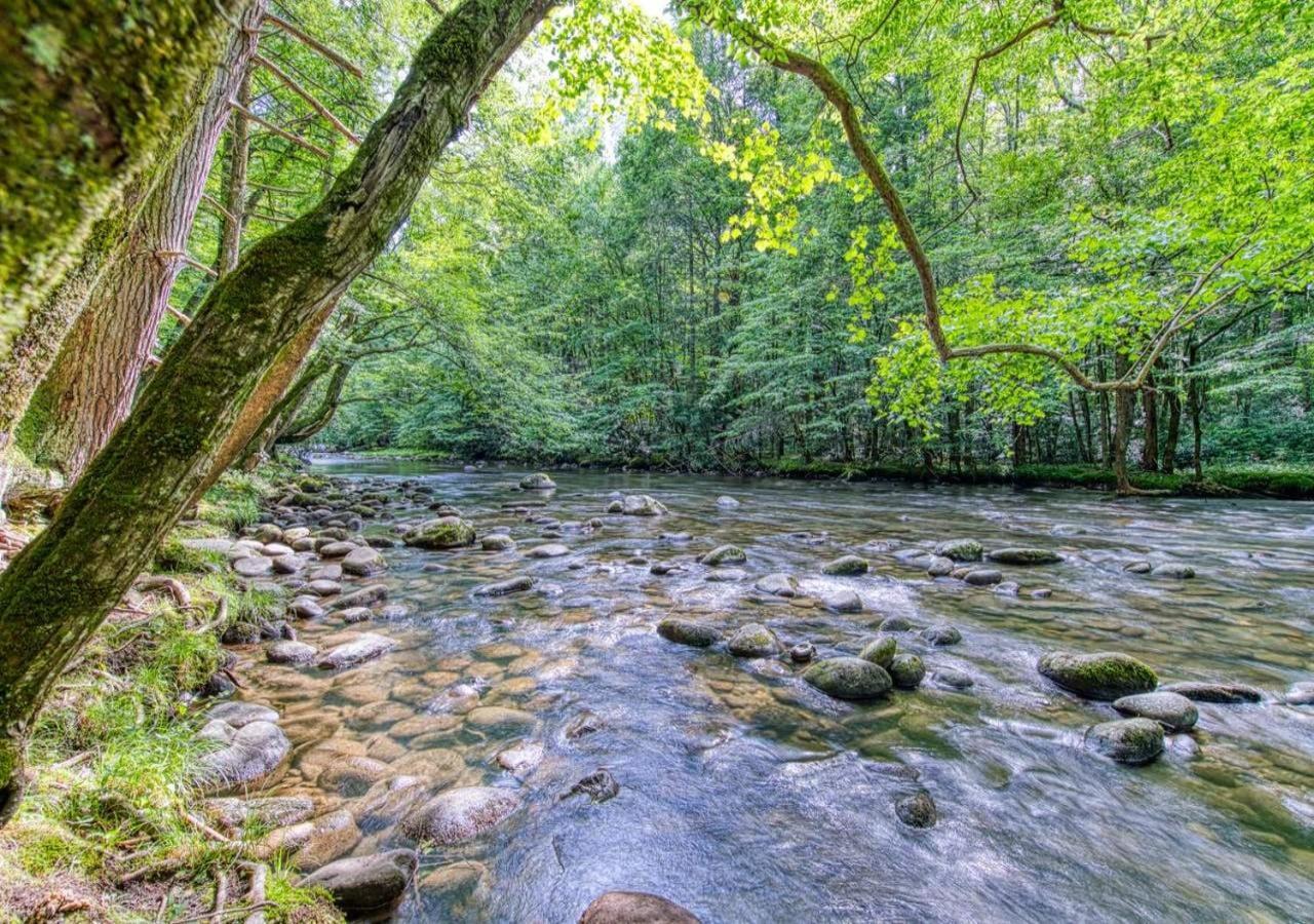 The Grand Orchard Lodge - Gatlinburg, Tn Екстер'єр фото